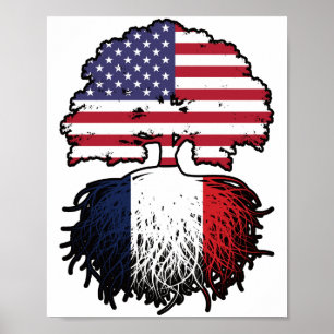 Frankreich Französisch Amerikanisch USA Vereinigte Poster