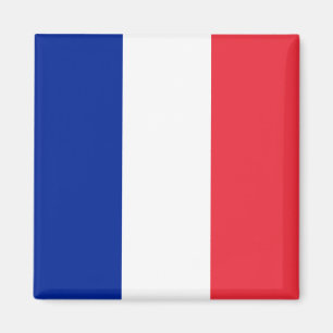 Frankreich (Französisch) Flagge Magnet