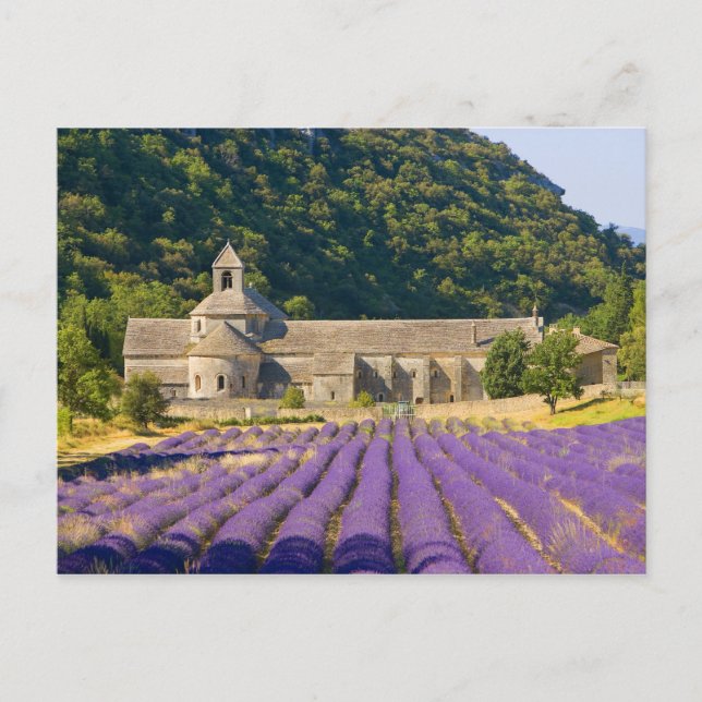 Frankreich, Gordes. Zisterzienserkloster Postkarte (Vorderseite)