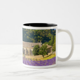Frankreich, Gordes. Zisterzienserkloster von Zweifarbige Tasse