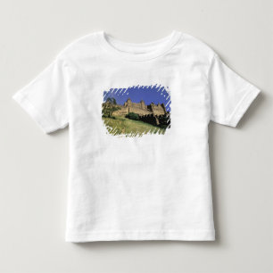 FRANKREICH, Languedoc Carcassonne Kleinkind T-shirt