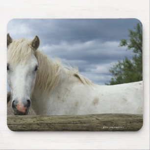 Frankreich Mousepad