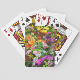 Frankreich, Nord, Frankreich, Flandern, Lille, Waz Spielkarten