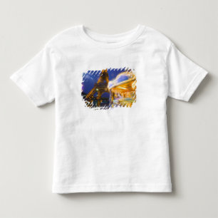 Frankreich, Paris. Eiffelturm im Zwielicht Nebel u Kleinkind T-shirt