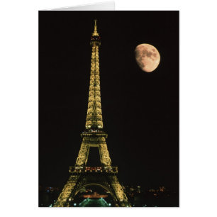 Frankreich, Paris. Eiffelturm nachts mit