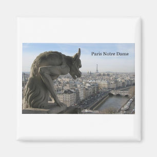 Frankreich Paris Notre Dame (durch St.K) Magnet