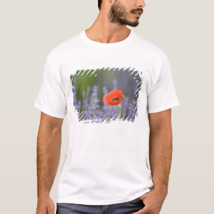 Frankreich, Provence. Einsamer Mohn auf einem Feld T-Shirt