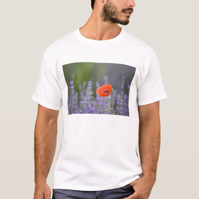 Frankreich, Provence. Einzelmohn im Feld T-Shirt (Vorderseite)