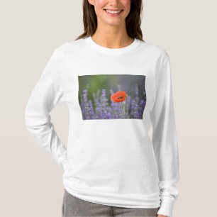 Frankreich, Provence. Einzelmohn im Feld T-Shirt