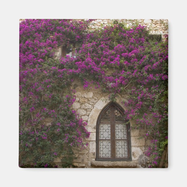 Frankreich, Provence, Eze. Helles Pink Magnet (Vorne)
