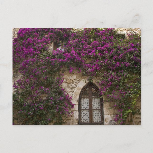 Frankreich, Provence, Eze. Helles Pink Postkarte (Vorderseite)