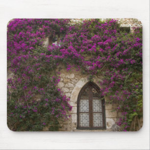 Frankreich, Provence, Eze. Hellrosa Mousepad