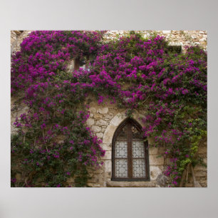 Frankreich, Provence, Eze. Hellrosa Poster