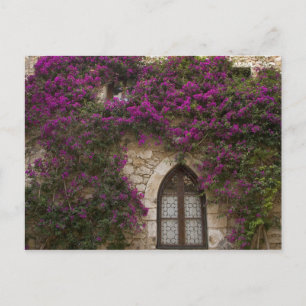 Frankreich, Provence, Eze. Hellrosa Postkarte