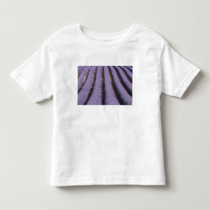 Frankreich, Provence. Lavendel in Blüte. 2 Kleinkind T-shirt