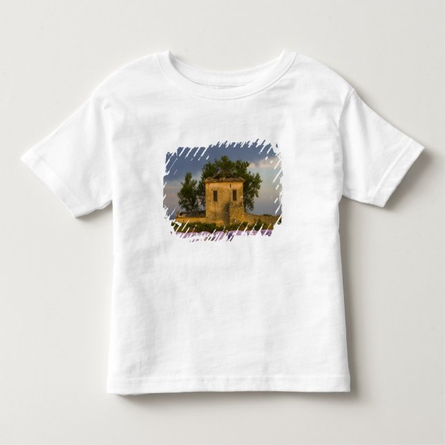 Frankreich, Provence. Lavendel- und Kleinkind T-shirt (Vorderseite)