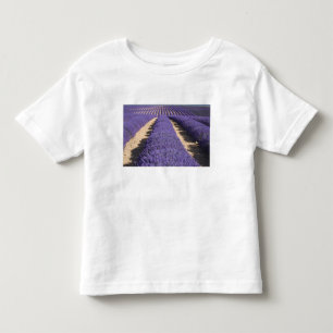 Frankreich, Provence. Reihen von blühendem Lavende Kleinkind T-shirt