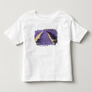 Frankreich, Provence. Reihen von blühendem Lavende Kleinkind T-shirt