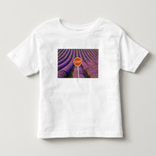 Frankreich, Provence. Reihen von Lavendel und halt Kleinkind T-shirt
