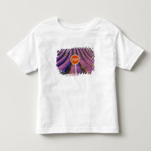 Frankreich, Provence. Reihen von Lavendel und Halt Kleinkind T-shirt