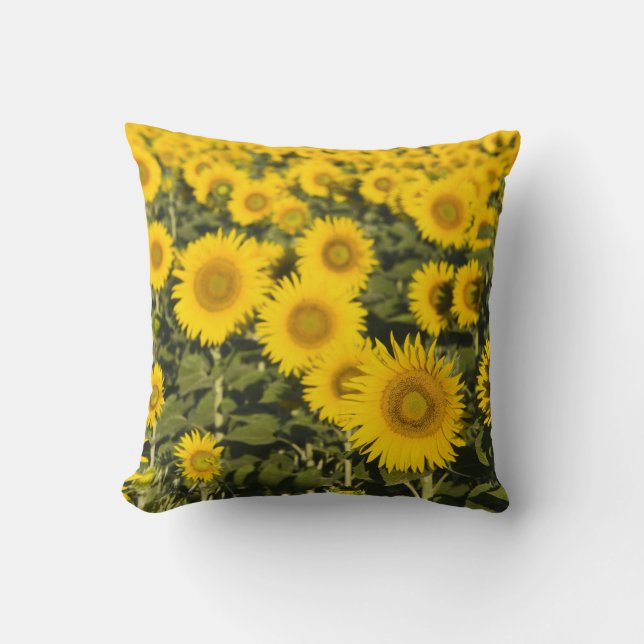 Frankreich, Provence, Valensole. Bereich Kissen (Vorderseite)