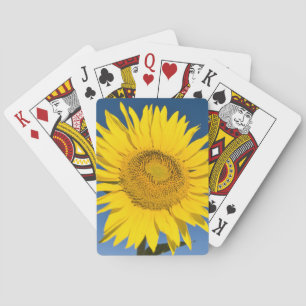 Frankreich, Provence, Valensole. Sonnenblumen steh Spielkarten