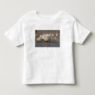 Frankreich, Provence. Weiße Camargue-Pferde laufen Kleinkind T-shirt