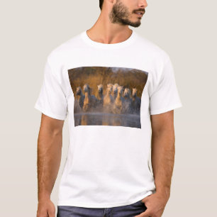 Frankreich, Provence. Weiße Camargue-Pferde T-Shirt