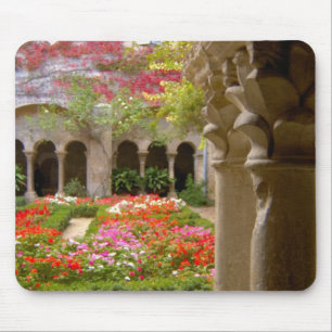 Frankreich, St. Remy de Provence, Kreuzgänge in Mousepad