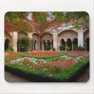 Frankreich, St. Remy de Provence, Kreuzgänge um 2 Mousepad