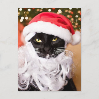 Franny Claus Sad Santa Kitty Feiertagspostkarte
