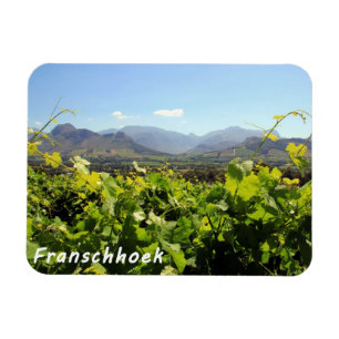 Franschhoek Vineyards Magnet