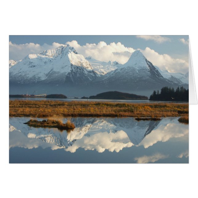 Franziskus und Zuckerhut (Vorderseite (Horizontal))