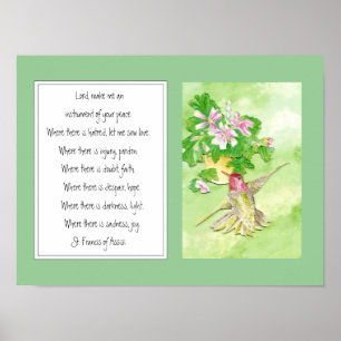 Franziskus von Assisi, Blume Gebet Hummingbird Poster