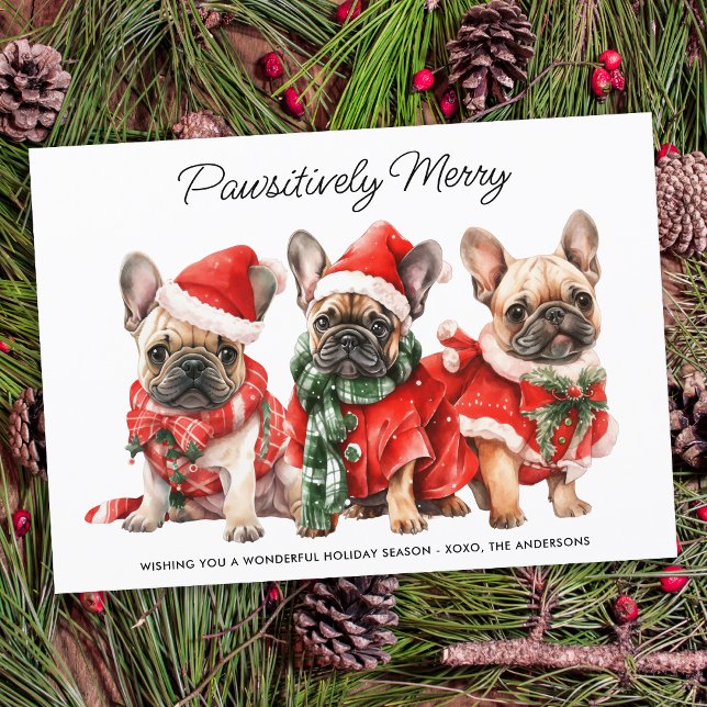 Franzose Bulldog Hunde Personalisiert Weihnachten (Von Creator hochgeladen)