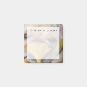 Franzose Post-it Klebezettel