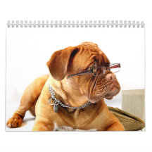 Franzosen Mastiff Dogue de Bordeaux Calendar
