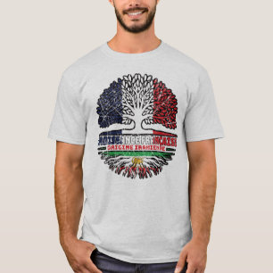 Französisch aufgewachsen, iranische Wurzeln – Löwe T-Shirt
