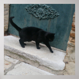 Französisch Black Cat Nice Frankreich Print Poster