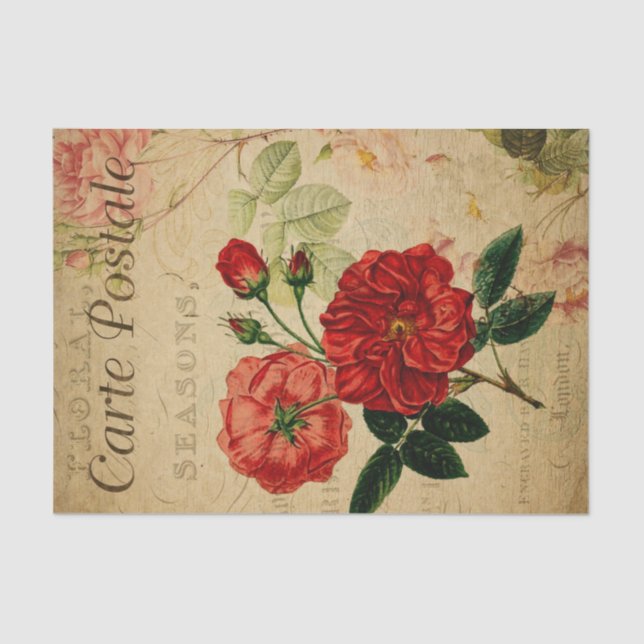 Französisch Ephemera Rosa Roses Floral Decoupage Seidenpapier (Vorderseite)