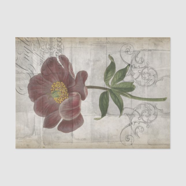Französisch-Floral I Seidenpapier (Vorderseite)