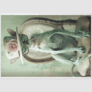 Französisch haarlose Cat Chic Sphinx Decoupage Seidenpapier