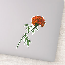 Französisch Marigold Blume Ink Zeichnend Aufkleber