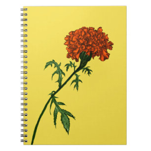 Französisch Marigold Blume Ink Zeichnend Notizblock