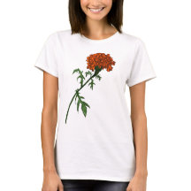 Französisch Marigold Blume Ink Zeichnend