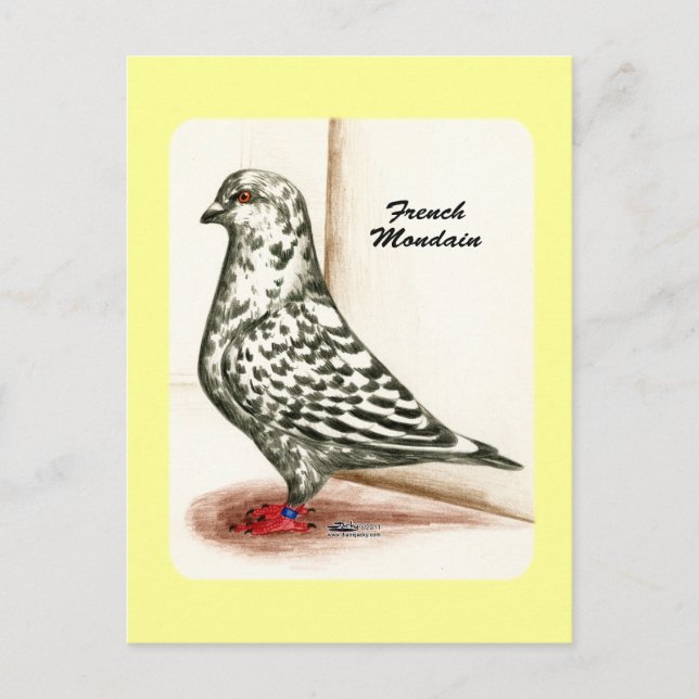 Französisch Mondain 1973 Postkarte (Vorderseite)