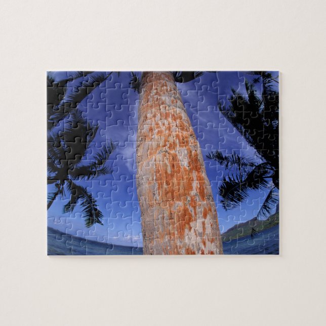 Französisch-Polynesien, Bora Bora, Palmen Puzzle (Horizontal)