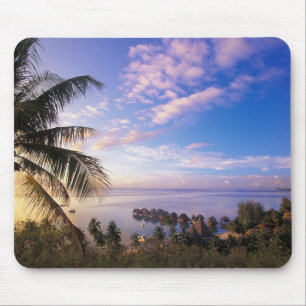 Französisch-Polynesien, Moorea. Blick auf die Baie Mousepad