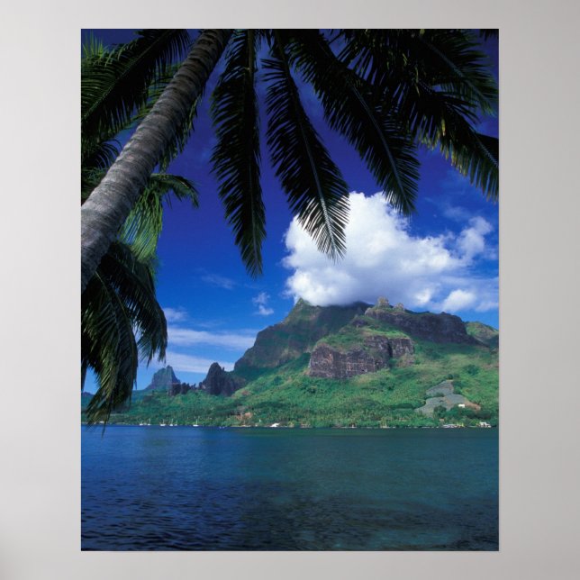 Französisch-Polynesien, Moorea. Cooks Bay. Green Poster (Vorne)