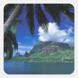 Französisch-Polynesien, Moorea. Cooks Bay.Grün Quadratischer Aufkleber